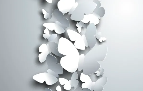 Butterfly, rendering, background, white