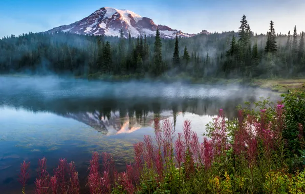 Trees, landscape, mountains, nature, fog, lake, USA, grass