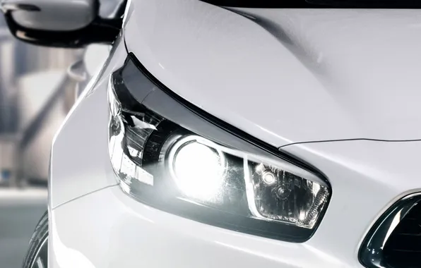 Picture Kia, Pro Cee'd, the tiger's mouth, tiger nose