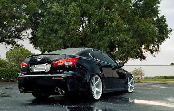 Picture black, auto, Vossen Wheels, Lexus LS IS on Vossen