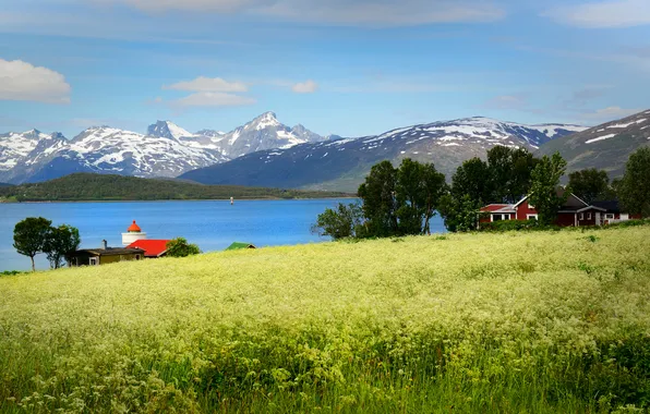 Field, grass, trees, mountains, lake, Norway, houses