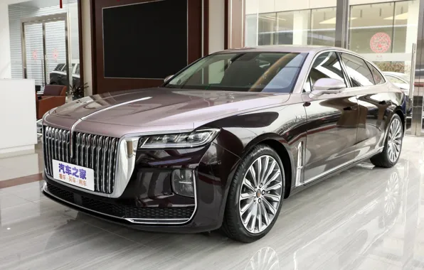 Picture sedan, luxury, sedan, luxury, exterior, exterior, HongQi H9