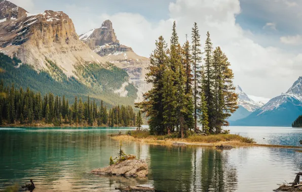 Picture Mountains, Lake, Trees, Canada, Canada, Jasper National Park, Jasper national Park, Maligne Lake