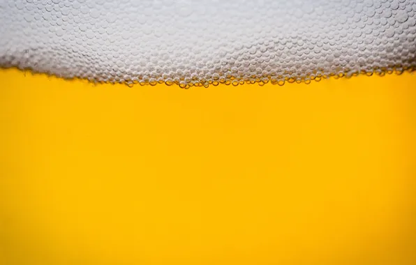 Foam, beer, puzyrky