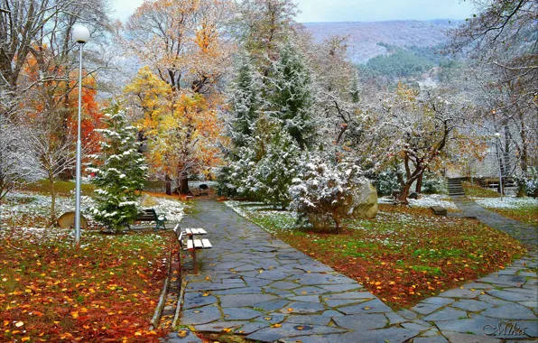 Picture Winter, Snow, Park, Winter, Park, Snow, Trees, Benches