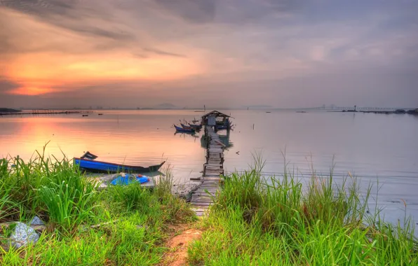 Grass, shore, pier, 157