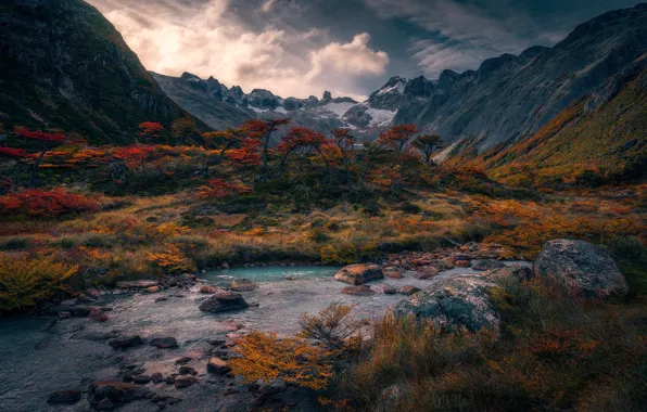 Autumn, trees, mountains, stream, stones, shore, river, Andes