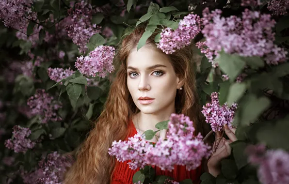 Picture portrait, the beauty, lilac, Anna Storozheva