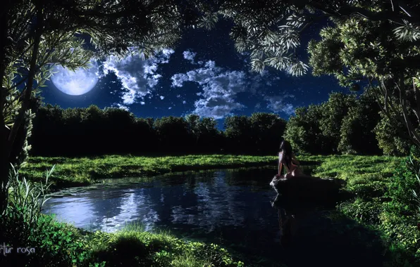 Grass, girl, clouds, trees, night, lake, the moon, stone