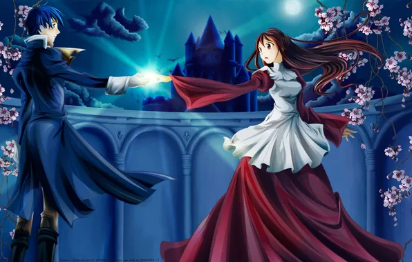 Picture the sky, girl, flowers, night, castle, the moon, anime, cloud