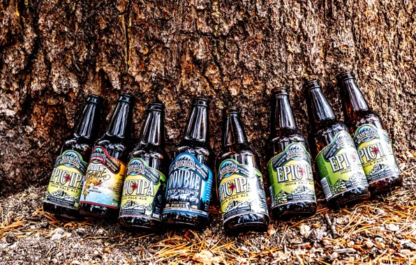 Nature, bottle, beer