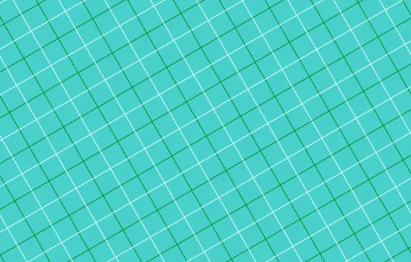 Picture white, line, green, background, texture, squares, green