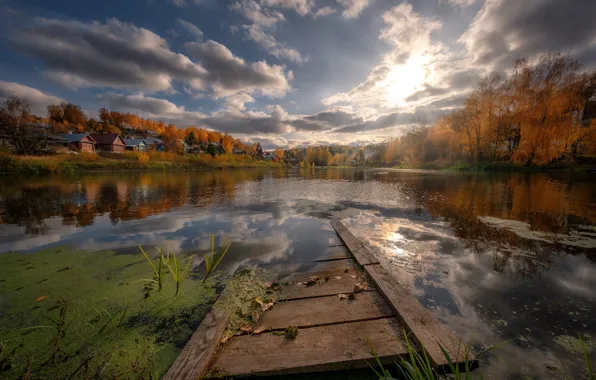 Autumn, trees, landscape, nature, the city, pond, home, Plyos