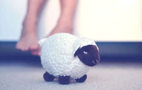 Picture gift, toy, sheep, souvenir