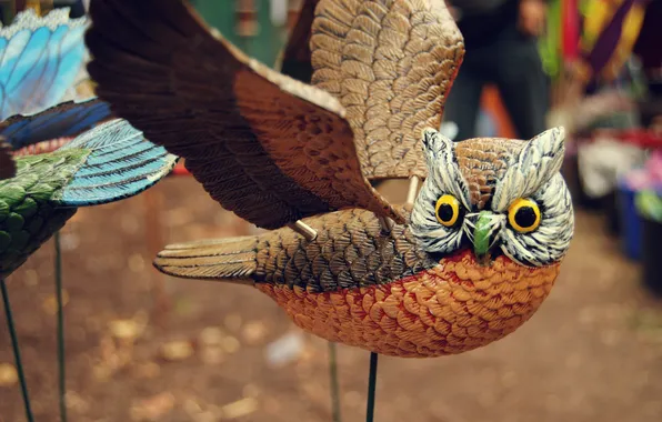 Owl, bird, wings, figure