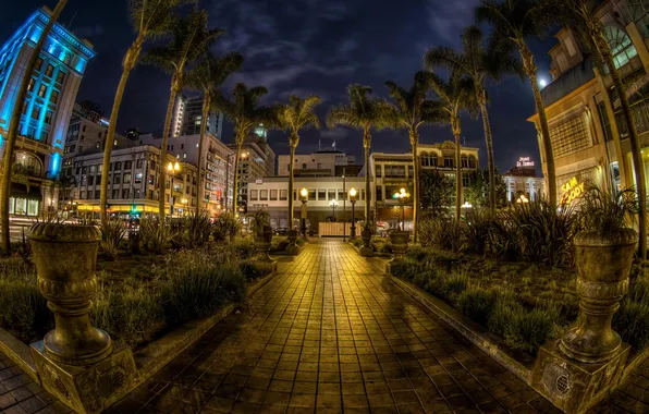 The city, palm trees, street, lights, USA, USA, alley