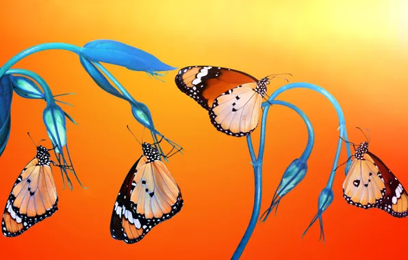Picture macro, flowers, butterfly, insect, orange background