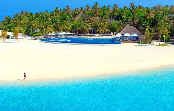 Picture sand, sea, beach, the sun, tropics, palm trees, stay, shore