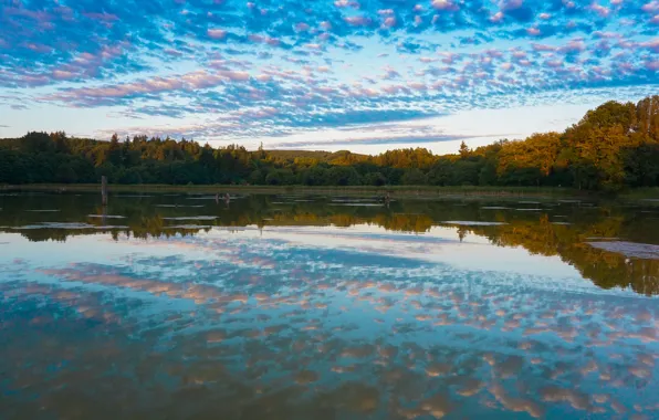 Autumn, the sky, clouds, trees, lake, reflection