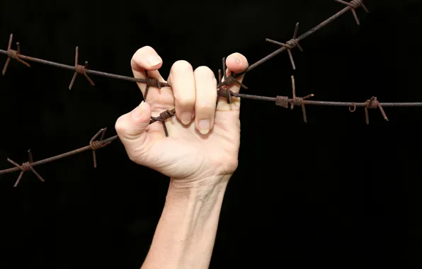 Freedom, the fence, hand