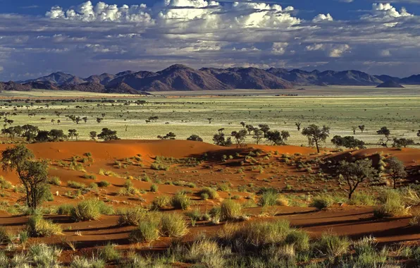 Field, the sky, clouds, trees, landscape, mountains, nature, desert