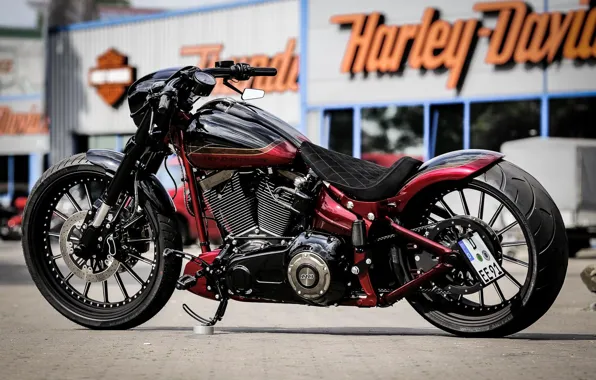 Wallpaper Bike, Harley-Davidson, Custom, Softail, Thunderbike, Nobleout ...