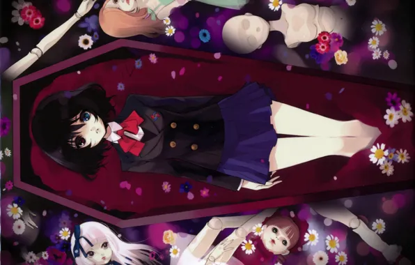 Flowers, doll, form, the coffin, bow, other, misaki mei, another