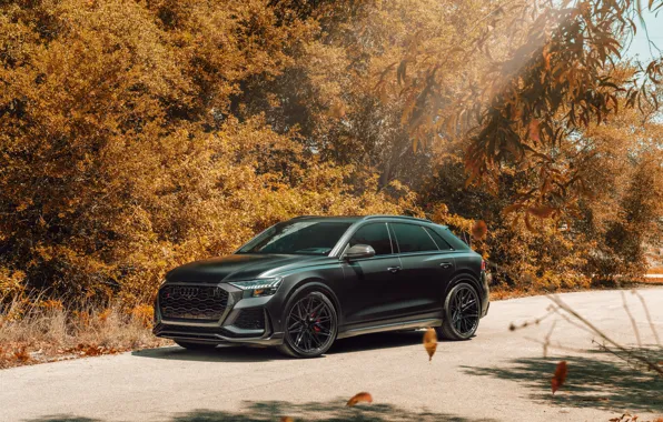 Picture Audi, Audi, Autumn, Autumn, VAG, RSQ8