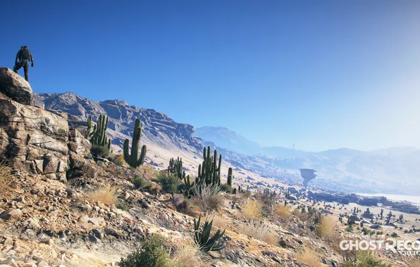 Desert, soldiers, cacti, ghost recon wildlands