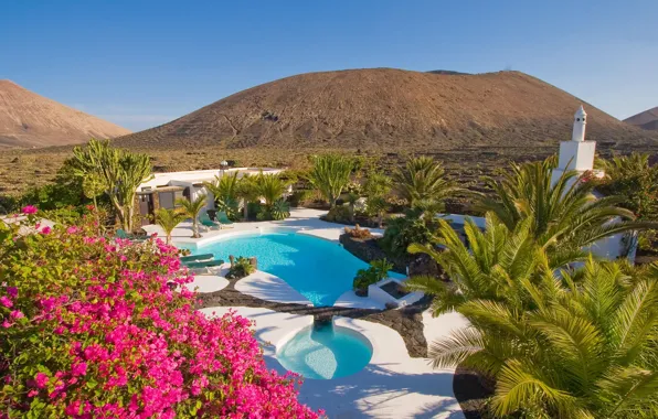 Flowers, pool, the hotel, Tenerife, The Canary Islands, Finca Malvasia