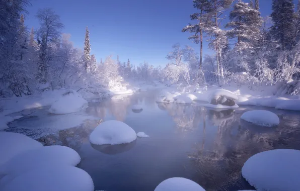 Picture winter, water, snow, trees, landscape, nature, The Kola Peninsula