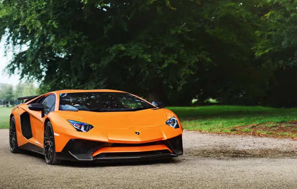 Picture Aventador, Lamborghini, LP750-4, Orange