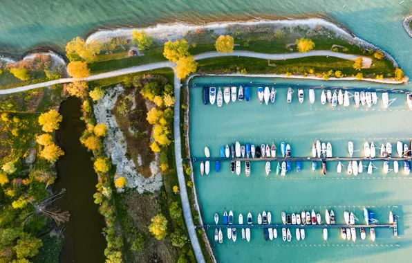 Road, sea, autumn, trees, shore, view, Marina, boats