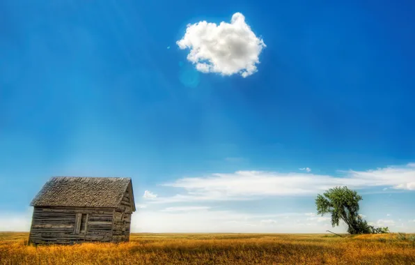 Field, clouds, house, tree, 153