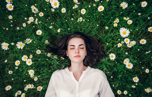 Flowers, pose, model, portrait, chamomile, makeup, brunette, hairstyle