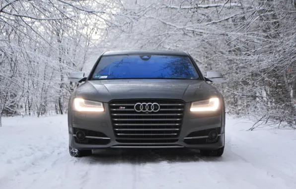 Picture Audi, Light, Winter, VAG, Sight, Full LED Matrix Lights, D4R