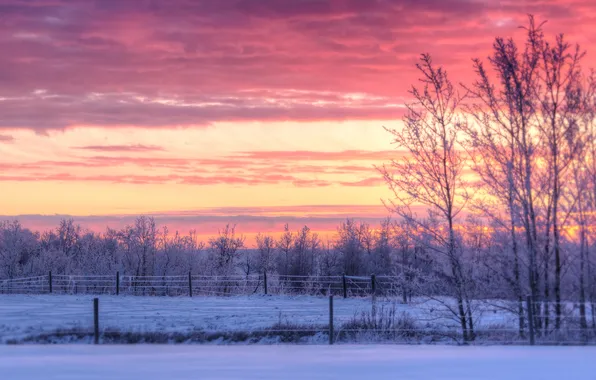 Picture winter, clouds, snow, trees, sunset, the fence, the countryside, farm