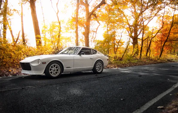 Picture white, road, Datsun, 280z