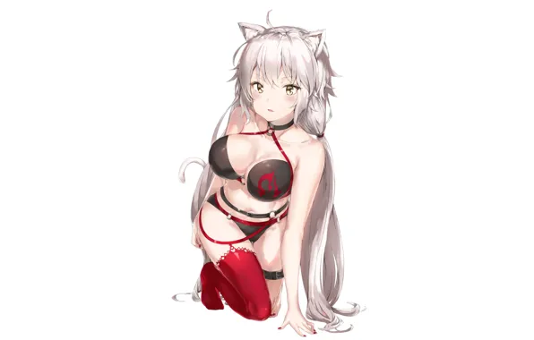Picture girl, sexy, Fate / Grand Order, The destiny of a great campaign
