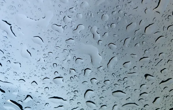 Rain, Rainy day, Raindrops