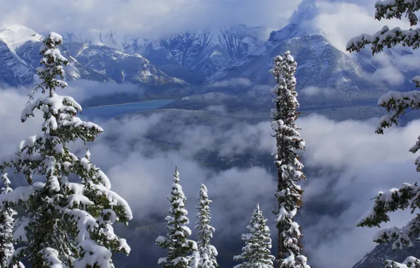 Winter, clouds, snow, trees, mountains, lake, Canada, Albert