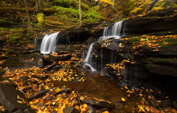 Picture waterfall, leaves, stream, rocks, autumn