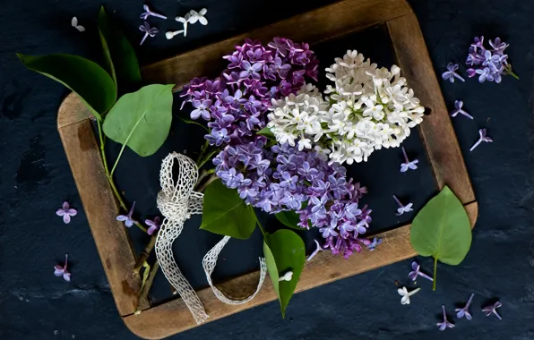 Leaves, style, Board, flowers, lilac, bunches, inflorescence