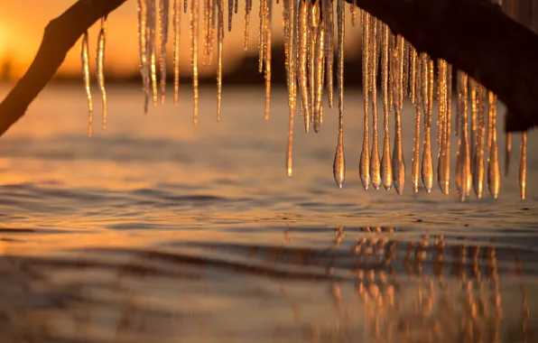 Water, ice, icicles