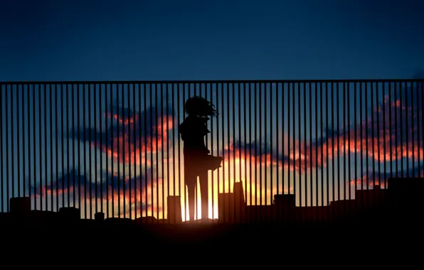 The sky, girl, the sun, clouds, sunset, the fence, home, anime