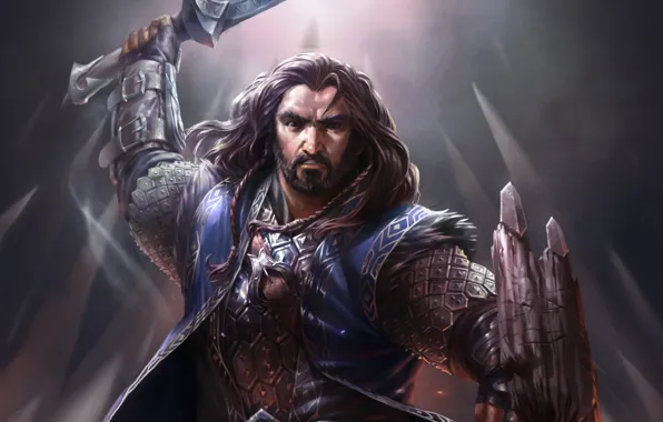 Weapons, warrior, the Lord of the rings, art, shield, dwarf, lord of the rings, Thorin