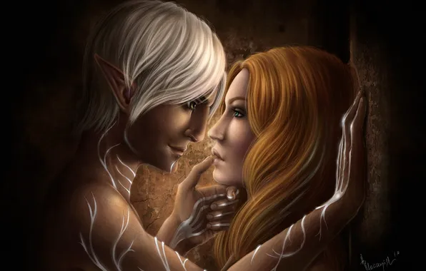 Picture love, elf, pair, Dragon Age, fan art, Fenris, Hawke