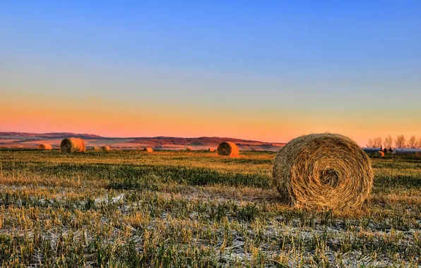 Field, the sky, trees, sunset, horizon, hay, farm