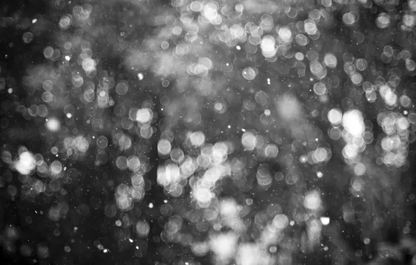 Picture winter, snowflakes, winter, snowflakes, b&w