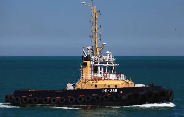 Tug, sea, The black sea, worker